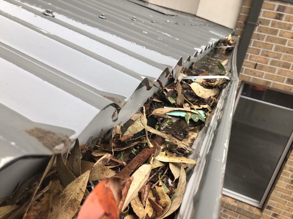 gutter cleaning services Melbourne